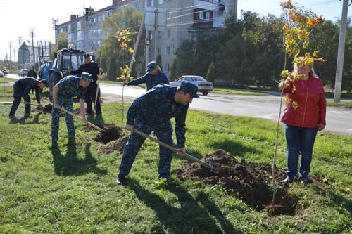 В Семикаракорске прошел осенний День древонасаждения