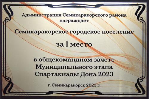 В Семикаракорске состоялся Зимний фестиваль Всероссийского физкультурно-спортивного комплекса «Готов к труду и обороне»